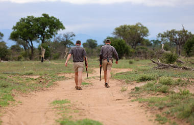 Big Five Walking Safari