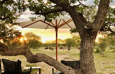 Waterhole View