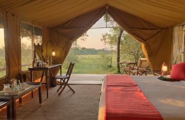 Elephant Pepper Camp