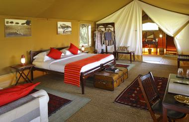 Elephant Pepper Camp