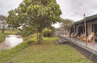 Asilia Ol Pejeta Bush Camp - Family tent exterior with view