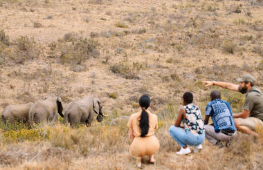 Bush Walk Elephants