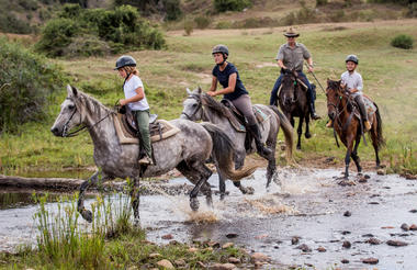 Horseback Safari