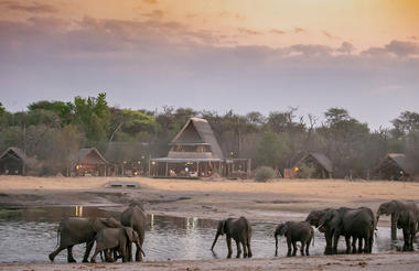 The Hide A Frame and Elephants