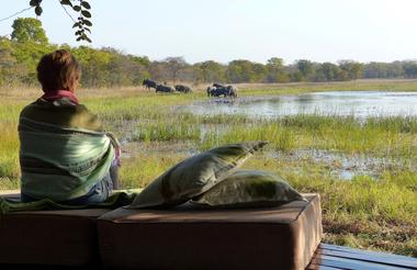 Elephants from the deck