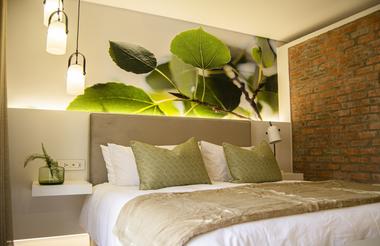 Each Ground Floor Luxury suite is beautifully decorated