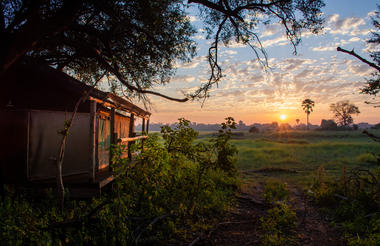 Moremi Crossing