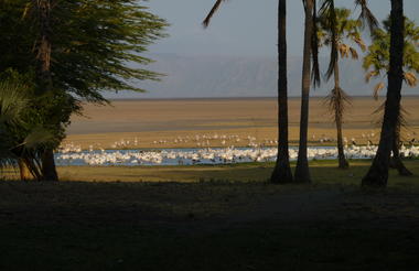 Birdlife at Kisima Ngeda