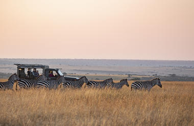 Out on the stunning plains