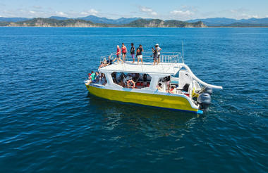 Ocean Seafari