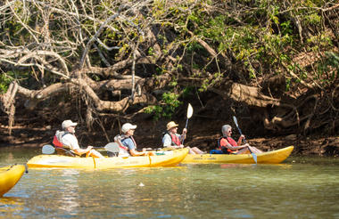 Mangrove Kayak
