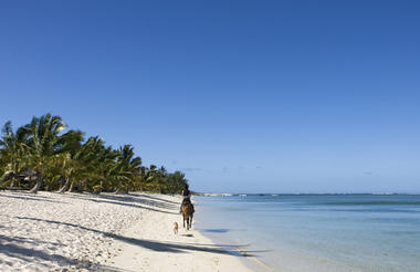 Idyllic Beach 