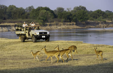 Game drive with puku on the river