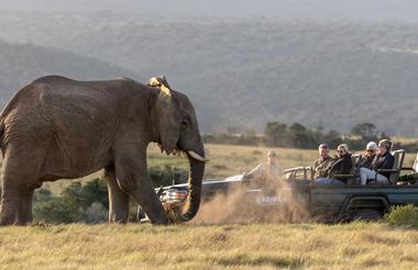 Game drive