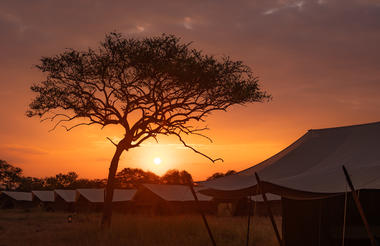 ICZ Camp View at Dawn