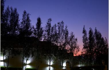 Spectacular Sunsets