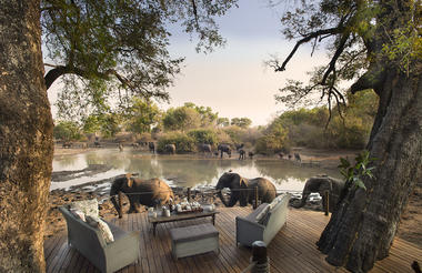 Kanga Camp
