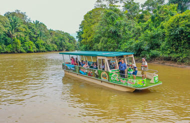 Unique Caño Negro Wildlife Boat Trip Canoa Aventura