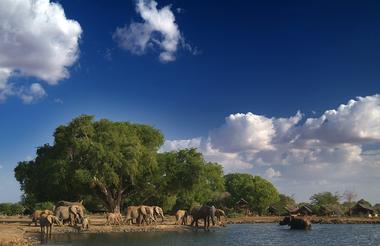 Satao Tented Camp