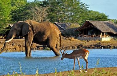 Satao Tented Camp