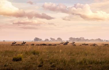 Riding alongside herds of Wildebeest - Simalaha Horse Safaris