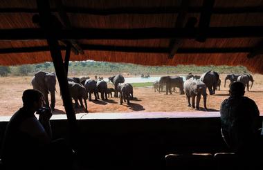 Private Safari Hide