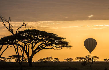 Hot Air Balloon Safari