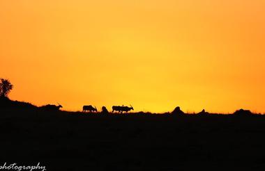 Sunsets and Sundowners