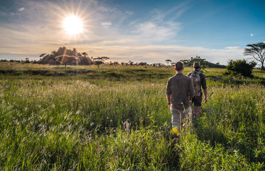 Walking Safari