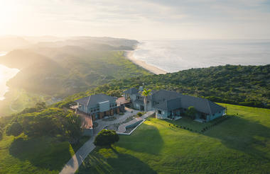 Fynbos on Sea Hero