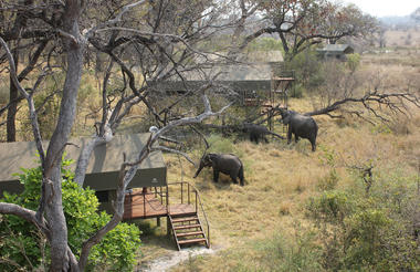 Lodge Surrounding