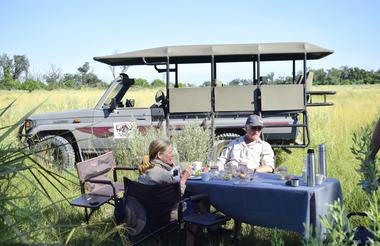 Bush Picnic