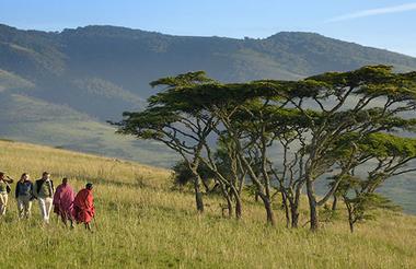 Kirurumu Ngorongoro Camp