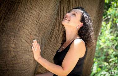 Elephant Interaction