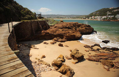 Nature walk along the coast