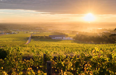 Steenberg Farm