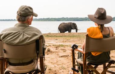 Elephants by the Camp