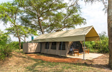 Safari Tents