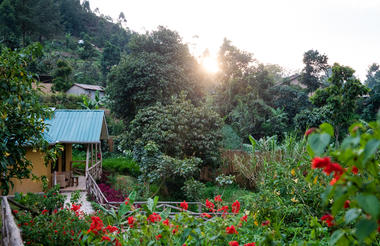 Forest View cottage