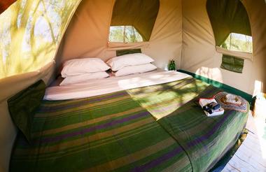 Experience Tents