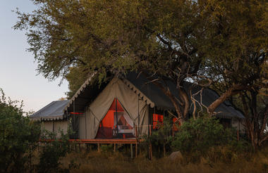 Family tent