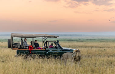 Sentinel Mara Game Drive