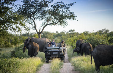 Simbavati Hilltop Lodge