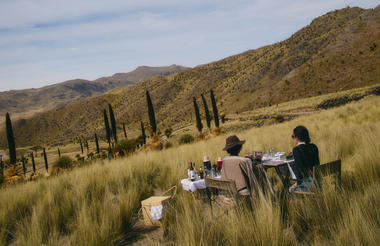 Excursiones y Actividades