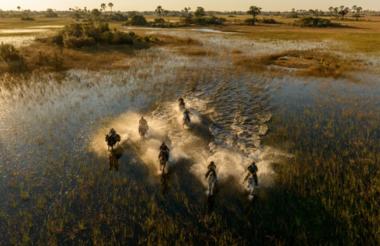 Galloping through the Okavango
