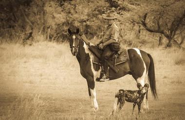 Riding with Wild Dog
