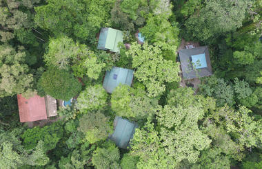 Jungle Lodge in Playa Chiquita