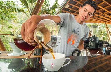Experiencia Café