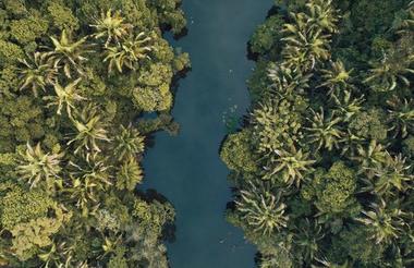 Nomad Lodges