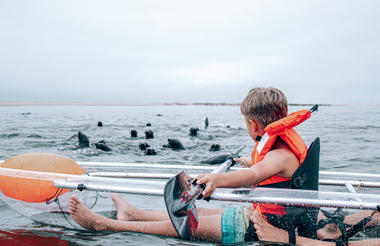 Mola Mola Crystal Kayaks